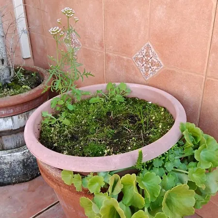 Holiday home Casa Recreo Cadiz